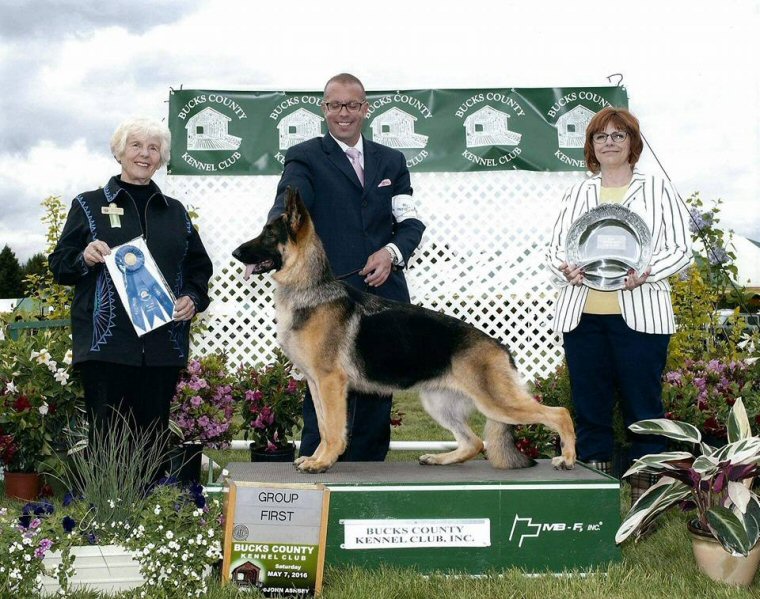 Daisy 2016 Group One Picture from Bucks County Kennel Club